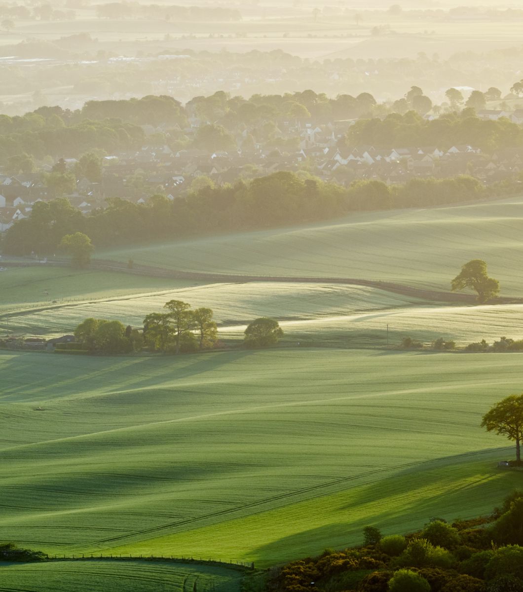 Green scenic view of fields